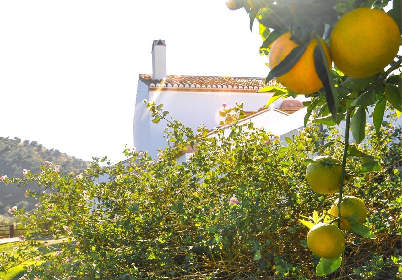 Cortijo Las Caballerias Alora Eksteriør bilde