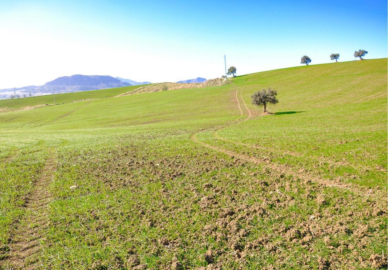 Cortijo Las Caballerias Alora Eksteriør bilde